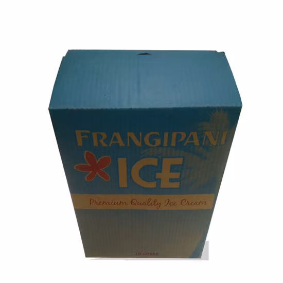 Corrugated Square Large Size Wholesale Blue Carton Hard Ice Box