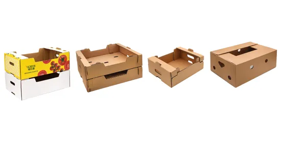 Large Size Corrugated Vegetable & Fruit Packing Paper Corrugated Box