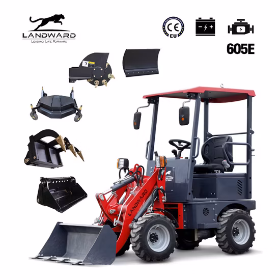 Dls150 PRO China Supplying Electric Tricycle 2023 Approval New Energy Resources Electric Loader High Quality for Cargo Basic Customization